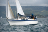 trasnagh 333 whyw17 sun gjmc 5768